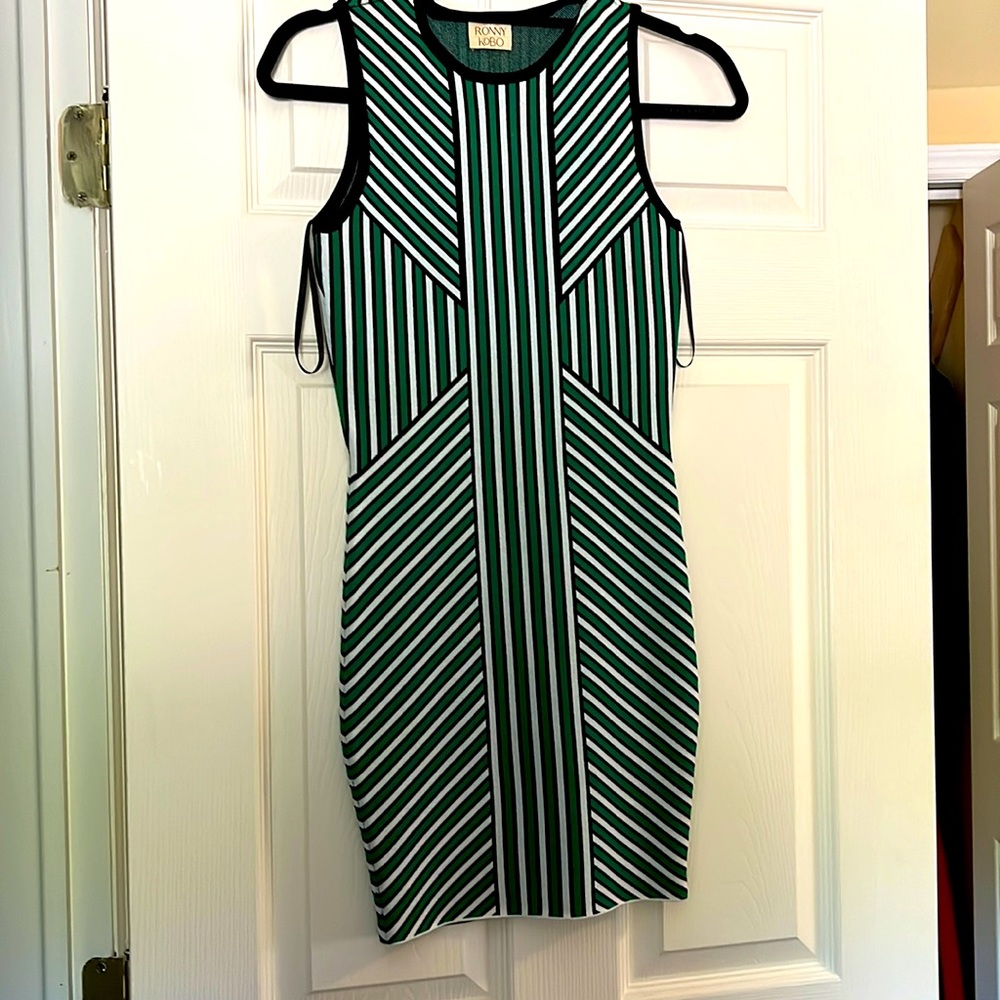 Torn by Ronny Kobo dress size small